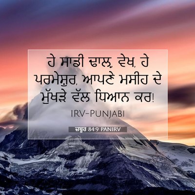 Picture 07 - ਜ਼ਬੂਰ 84:9 PANIRV - ਹੇ ਸਾਡੀ ਢਾਲ਼, ਵੇਖ, - Bible Verse Picture