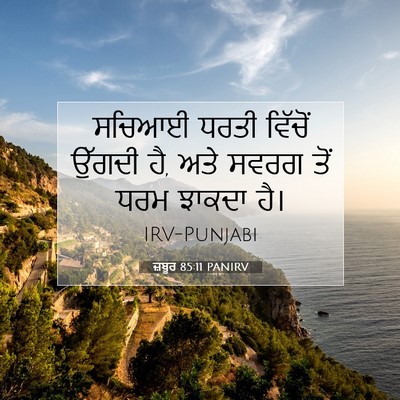 Picture 07 - ਜ਼ਬੂਰ 85:11 PANIRV - ਸਚਿਆਈ ਧਰਤੀ ਵਿੱਚੋਂ - Bible Verse Picture