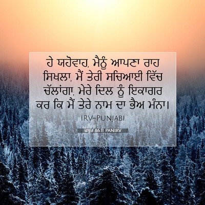 Picture 07 - ਜ਼ਬੂਰ 86:11 PANIRV - ਹੇ ਯਹੋਵਾਹ, ਮੈਨੂੰ - Bible Verse Picture