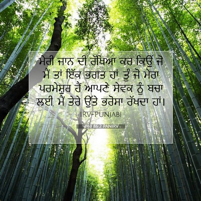 Picture 07 - ਜ਼ਬੂਰ 86:2 PANIRV - ਮੇਰੀ ਜਾਨ ਦੀ ਰੱਖਿਆ - Bible Verse Picture