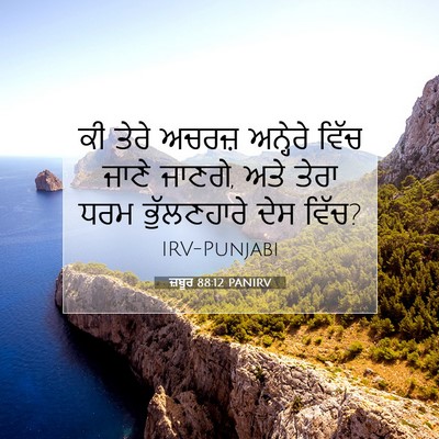 Picture 07 - ਜ਼ਬੂਰ 88:12 PANIRV - ਕੀ ਤੇਰੇ ਅਚਰਜ਼ - Bible Verse Picture