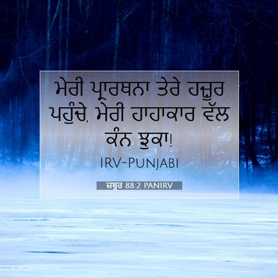 Picture 07 - ਜ਼ਬੂਰ 88:2 PANIRV - ਮੇਰੀ ਪ੍ਰਾਰਥਨਾ - Bible Verse Picture