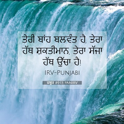 Picture 07 - ਜ਼ਬੂਰ 89:13 PANIRV - ਤੇਰੀ ਬਾਂਹ ਬਲਵੰਤ ਹੈ, - Bible Verse Picture