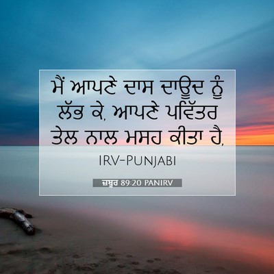 Picture 07 - ਜ਼ਬੂਰ 89:20 PANIRV - ਮੈਂ ਆਪਣੇ ਦਾਸ ਦਾਊਦ - Bible Verse Picture