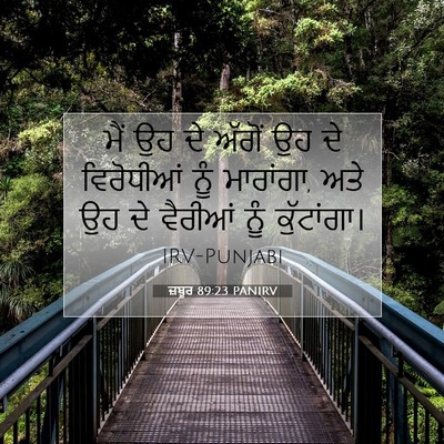 Picture 07 - ਜ਼ਬੂਰ 89:23 PANIRV - ਮੈਂ ਉਹ ਦੇ ਅੱਗੋਂ ਉਹ - Bible Verse Picture