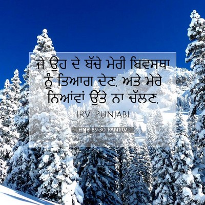 Picture 07 - ਜ਼ਬੂਰ 89:30 PANIRV - ਜੇ ਉਹ ਦੇ ਬੱਚੇ ਮੇਰੀ - Bible Verse Picture