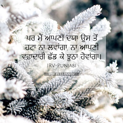 Picture 07 - ਜ਼ਬੂਰ 89:33 PANIRV - ਪਰ ਮੈਂ ਆਪਣੀ ਦਯਾ ਉਸ - Bible Verse Picture
