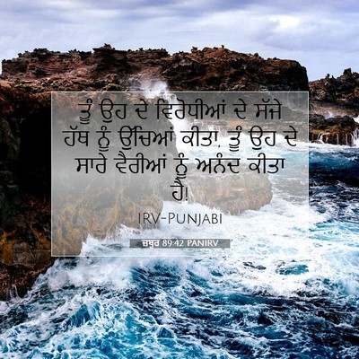 Picture 07 - ਜ਼ਬੂਰ 89:42 PANIRV - ਤੂੰ ਉਹ ਦੇ ਵਿਰੋਧੀਆਂ - Bible Verse Picture