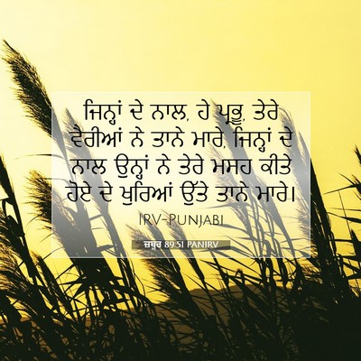 Picture 07 - ਜ਼ਬੂਰ 89:51 PANIRV - ਜਿਨ੍ਹਾਂ ਦੇ ਨਾਲ, ਹੇ - Bible Verse Picture