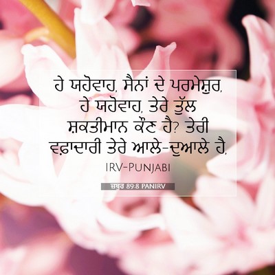 Picture 07 - ਜ਼ਬੂਰ 89:8 PANIRV - ਹੇ ਯਹੋਵਾਹ, ਸੈਨਾਂ ਦੇ - Bible Verse Picture