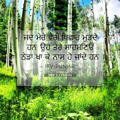 Picture 07 - ਜ਼ਬੂਰ 9:3 PANIRV - ਜਦ ਮੇਰੇ ਵੈਰੀ - Bible Verse Picture