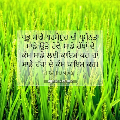 Picture 07 - ਜ਼ਬੂਰ 90:17 PANIRV - ਪ੍ਰਭੂ ਸਾਡੇ - Bible Verse Picture