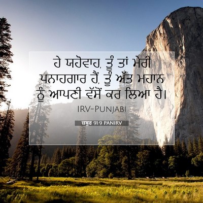 Picture 07 - ਜ਼ਬੂਰ 91:9 PANIRV - ਹੇ ਯਹੋਵਾਹ, ਤੂੰ ਤਾਂ - Bible Verse Picture