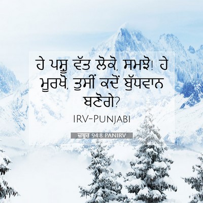 Picture 07 - ਜ਼ਬੂਰ 94:8 PANIRV - ਹੇ ਪਸ਼ੂ ਵੱਤ ਲੋਕੋ, - Bible Verse Picture