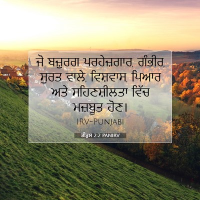 Picture 07 - ਤੀਤੁਸ 2:2 PANIRV - ਜੋ ਬਜ਼ੁਰਗ - Bible Verse Picture