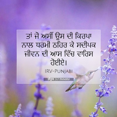 Picture 07 - ਤੀਤੁਸ 3:7 PANIRV - ਤਾਂ ਜੋ ਅਸੀਂ ਉਸ ਦੀ - Bible Verse Picture