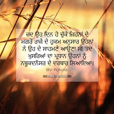 Picture 07 - ਦਾਨੀਏਲ 1:18 PANIRV - ਜਦ ਉਹ ਦਿਨ ਹੋ ਚੁੱਕੇ - Bible Verse Picture
