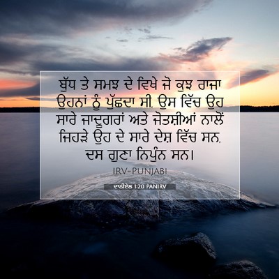 Picture 07 - ਦਾਨੀਏਲ 1:20 PANIRV - ਬੁੱਧ ਤੇ ਸਮਝ ਦੇ ਵਿਖੇ - Bible Verse Picture