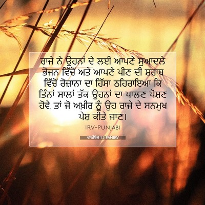 Picture 07 - ਦਾਨੀਏਲ 1:5 PANIRV - ਰਾਜੇ ਨੇ ਉਹਨਾਂ ਦੇ ਲਈ - Bible Verse Picture