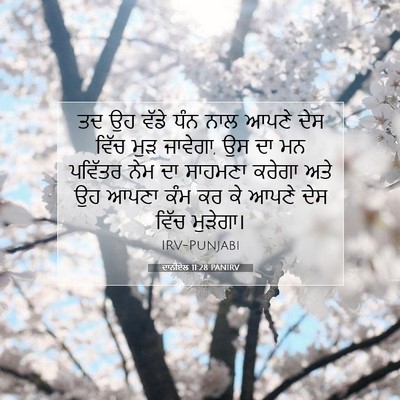 Picture 07 - ਦਾਨੀਏਲ 11:28 PANIRV - ਤਦ ਉਹ ਵੱਡੇ ਧੰਨ ਨਾਲ - Bible Verse Picture