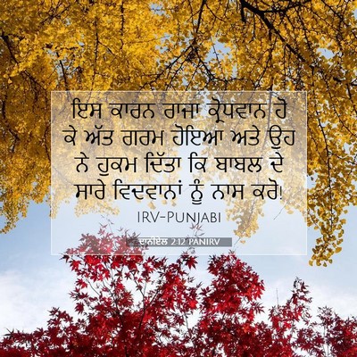 Picture 07 - ਦਾਨੀਏਲ 2:12 PANIRV - ਇਸ ਕਾਰਨ ਰਾਜਾ - Bible Verse Picture