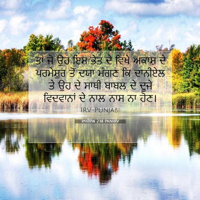 Picture 07 - ਦਾਨੀਏਲ 2:18 PANIRV - ਤਾਂ ਜੋ ਉਹ ਇਸ ਭੇਤ ਦੇ - Bible Verse Picture