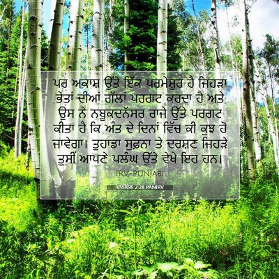 Picture 07 - ਦਾਨੀਏਲ 2:28 PANIRV - ਪਰ ਅਕਾਸ਼ ਉੱਤੇ ਇੱਕ - Bible Verse Picture