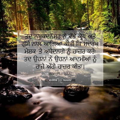Picture 07 - ਦਾਨੀਏਲ 3:13 PANIRV - ਤਦ ਨਬੂਕਦਨੱਸਰ ਨੇ - Bible Verse Picture