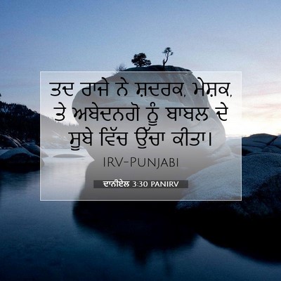 Picture 07 - ਦਾਨੀਏਲ 3:30 PANIRV - ਤਦ ਰਾਜੇ ਨੇ ਸ਼ਦਰਕ, - Bible Verse Picture
