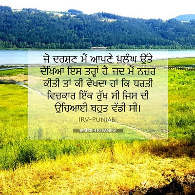 Picture 07 - ਦਾਨੀਏਲ 4:10 PANIRV - ਜੋ ਦਰਸ਼ਣ ਮੈਂ ਆਪਣੇ - Bible Verse Picture