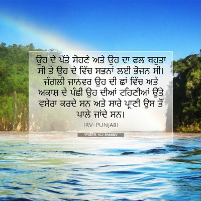 Picture 07 - ਦਾਨੀਏਲ 4:12 PANIRV - ਉਹ ਦੇ ਪੱਤੇ ਸੋਹਣੇ - Bible Verse Picture