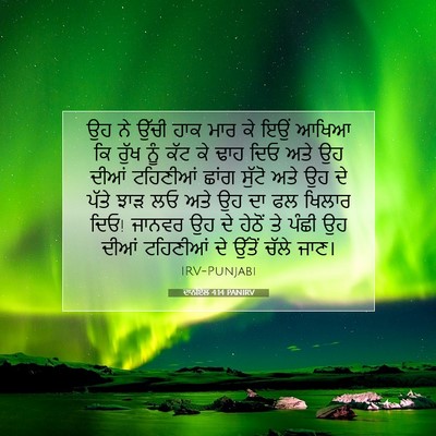 Picture 07 - ਦਾਨੀਏਲ 4:14 PANIRV - ਉਹ ਨੇ ਉੱਚੀ ਹਾਕ ਮਾਰ - Bible Verse Picture