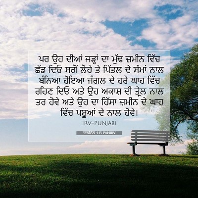 Picture 07 - ਦਾਨੀਏਲ 4:15 PANIRV - ਪਰ ਉਹ ਦੀਆਂ ਜੜ੍ਹਾਂ - Bible Verse Picture
