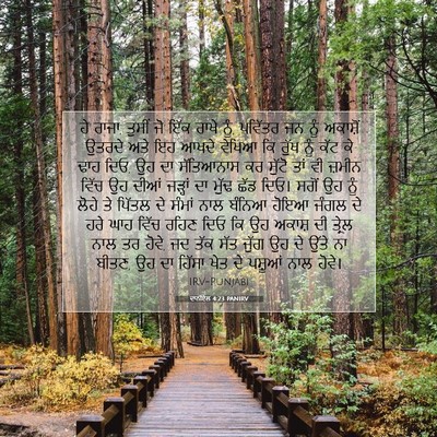 Picture 07 - ਦਾਨੀਏਲ 4:23 PANIRV - ਹੇ ਰਾਜਾ, ਤੁਸੀਂ ਜੋ - Bible Verse Picture