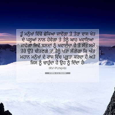 Picture 07 - ਦਾਨੀਏਲ 4:32 PANIRV - ਤੂੰ ਮਨੁੱਖਾਂ - Bible Verse Picture