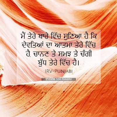 Picture 07 - ਦਾਨੀਏਲ 5:14 PANIRV - ਮੈਂ ਤੇਰੇ ਬਾਰੇ ਵਿੱਚ - Bible Verse Picture