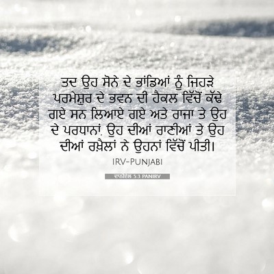 Picture 07 - ਦਾਨੀਏਲ 5:3 PANIRV - ਤਦ ਉਹ ਸੋਨੇ ਦੇ - Bible Verse Picture