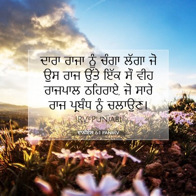 Picture 07 - ਦਾਨੀਏਲ 6:1 PANIRV - ਦਾਰਾ ਰਾਜਾ ਨੂੰ ਚੰਗਾ - Bible Verse Picture
