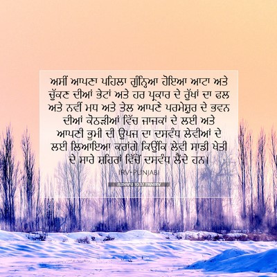 Picture 07 - ਨਹਮਯਾਹ 10:37 PANIRV - ਅਸੀਂ ਆਪਣਾ ਪਹਿਲਾ - Bible Verse Picture