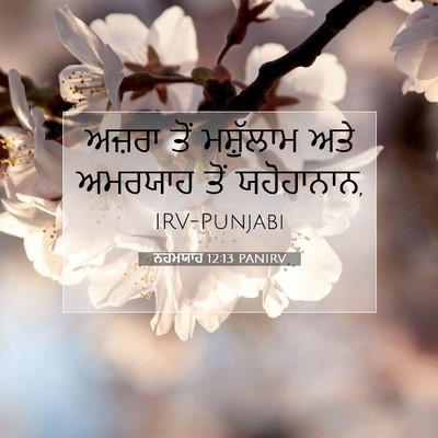 Picture 07 - ਨਹਮਯਾਹ 12:13 PANIRV - ਅਜ਼ਰਾ ਤੋਂ - Bible Verse Picture