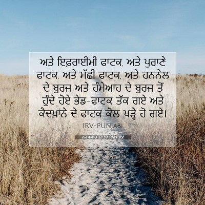 Picture 07 - ਨਹਮਯਾਹ 12:39 PANIRV - ਅਤੇ ਇਫ਼ਰਾਈਮੀ ਫਾਟਕ, - Bible Verse Picture