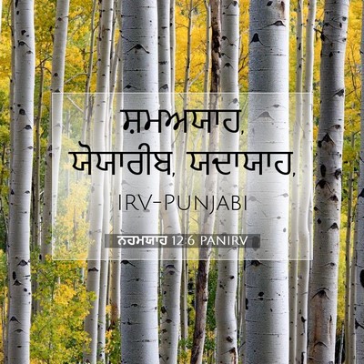 Picture 07 - ਨਹਮਯਾਹ 12:6 PANIRV - ਸ਼ਮਅਯਾਹ, ਯੋਯਾਰੀਬ, - Bible Verse Picture