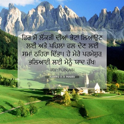 Picture 07 - ਨਹਮਯਾਹ 13:31 PANIRV - ਫਿਰ ਮੈਂ ਲੱਕੜੀ ਦੀਆਂ - Bible Verse Picture