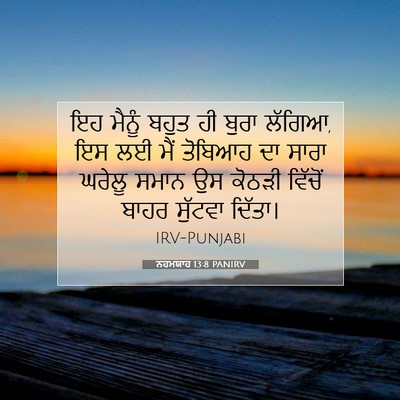 Picture 07 - ਨਹਮਯਾਹ 13:8 PANIRV - ਇਹ ਮੈਨੂੰ ਬਹੁਤ ਹੀ - Bible Verse Picture