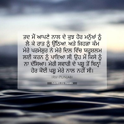 Picture 07 - ਨਹਮਯਾਹ 2:12 PANIRV - ਤਦ ਮੈਂ ਆਪਣੇ ਨਾਲ ਦੇ - Bible Verse Picture