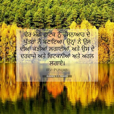 Picture 07 - ਨਹਮਯਾਹ 3:3 PANIRV - ਫੇਰ ਮੱਛੀ ਫਾਟਕ ਨੂੰ - Bible Verse Picture