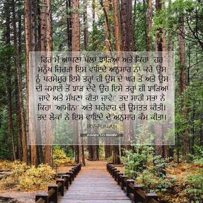 Picture 07 - ਨਹਮਯਾਹ 5:13 PANIRV - ਫਿਰ ਮੈਂ ਆਪਣਾ ਪੱਲਾ - Bible Verse Picture
