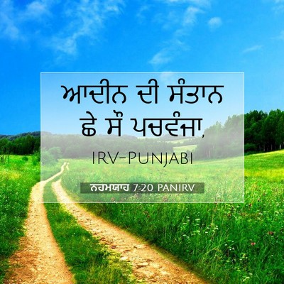 Picture 07 - ਨਹਮਯਾਹ 7:20 PANIRV - ਆਦੀਨ ਦੀ ਸੰਤਾਨ ਛੇ ਸੌ - Bible Verse Picture