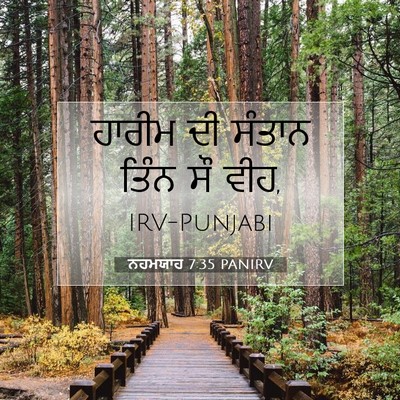 Picture 07 - ਨਹਮਯਾਹ 7:35 PANIRV - ਹਾਰੀਮ ਦੀ ਸੰਤਾਨ - Bible Verse Picture
