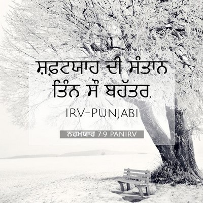 Picture 07 - ਨਹਮਯਾਹ 7:9 PANIRV - ਸ਼ਫ਼ਟਯਾਹ ਦੀ ਸੰਤਾਨ - Bible Verse Picture
